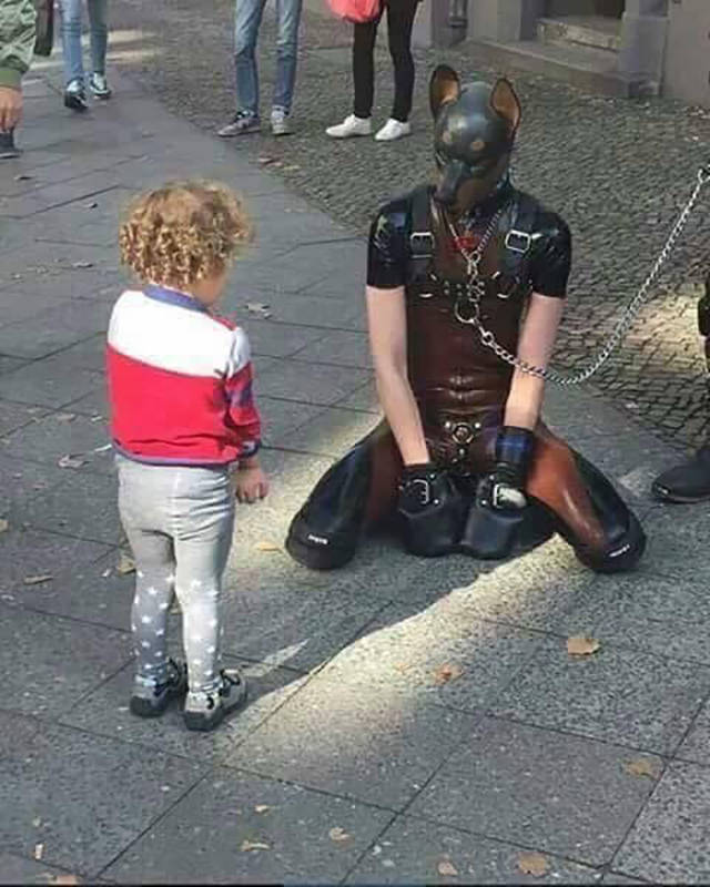 WTF: что тут происходит?