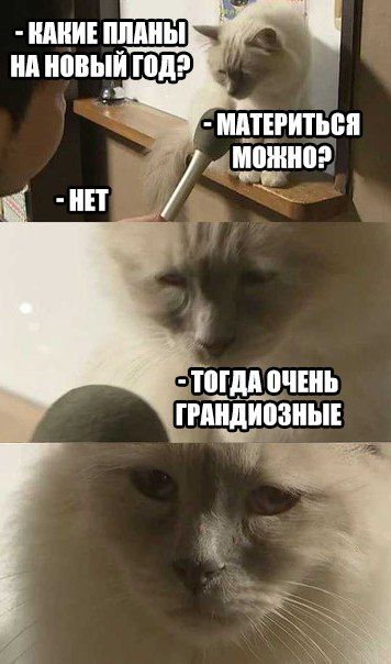 Порция пикчей из палаты №6