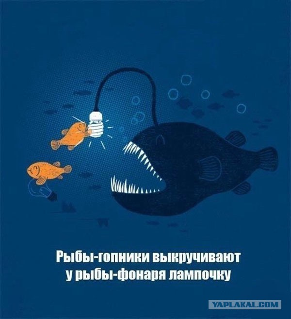 8 достоверных фактов о водопроводной системе.