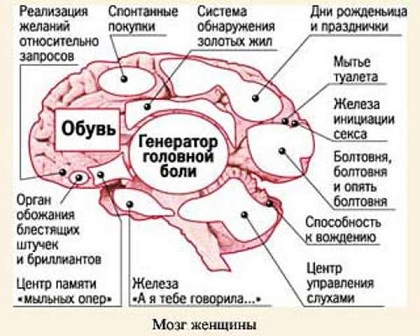 О женщинах в картинках – уголок мужского шовиниста (30+)