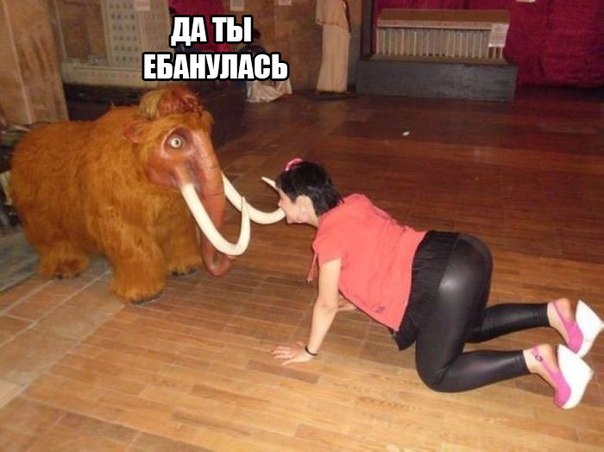 Всякого разного на пятницу!