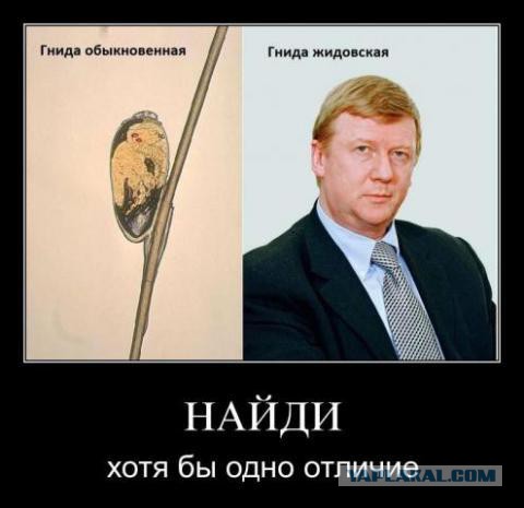 С праздником Анатолий Борисович