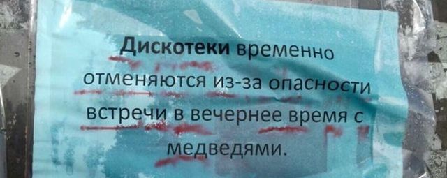 Забавные фото с надписями