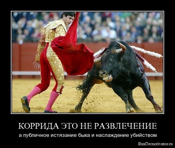 Допрыгался, акробат...