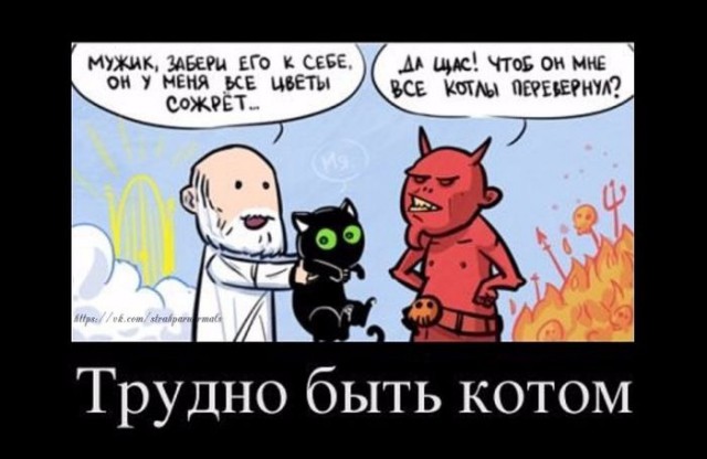 А сегодня Вы деградировали?