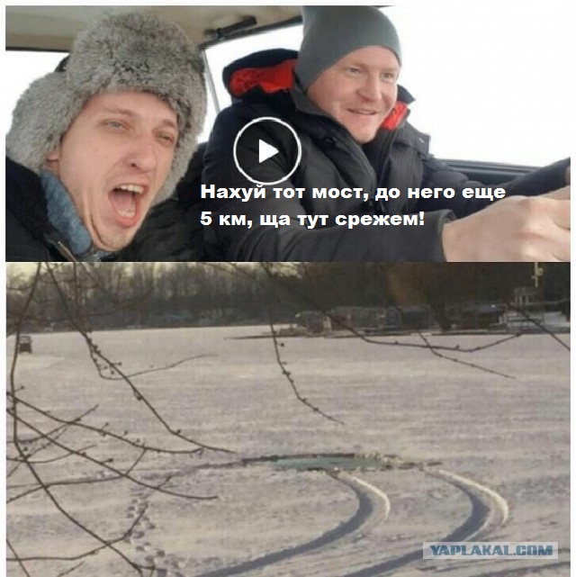 Немного веселых и некоторым образом смешных картинок к пятнице.