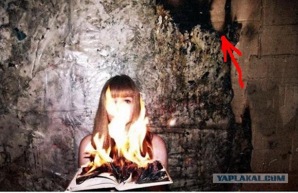 ТП и книжный червь