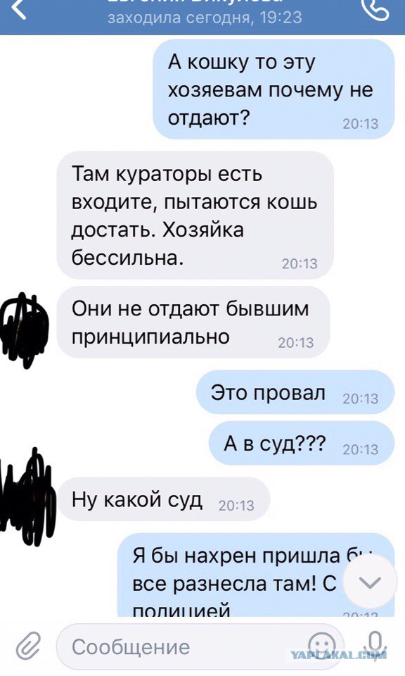 Помогите вернуть кота! Приют "Преданное сердце" украл кота и не отдает!