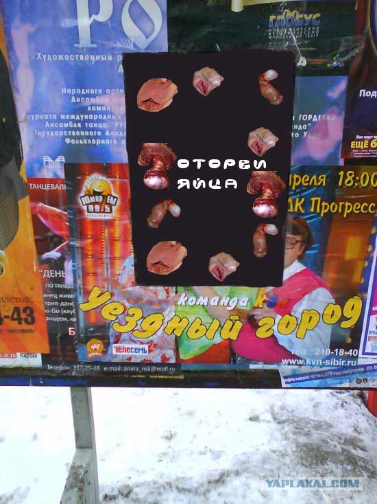 Афиша на остановке