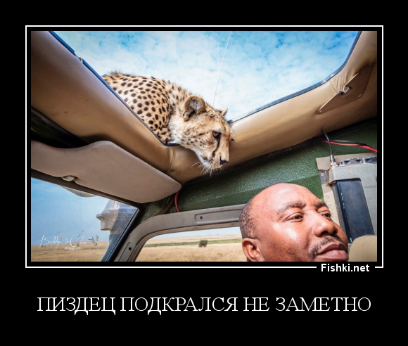 Доброе утро