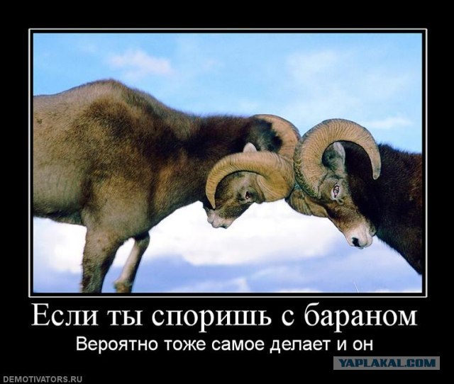 Черная "Ауди" мстит