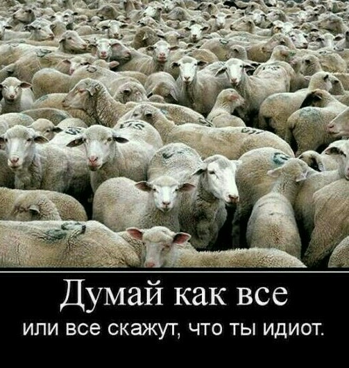 Найден древний саркофаг с машинным уровнем обработки. Серапеум отдыхает