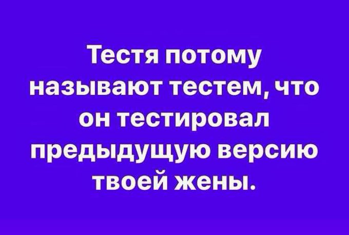 15396771.jpg