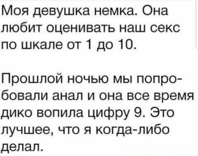 Весёлый полтишок 13.09