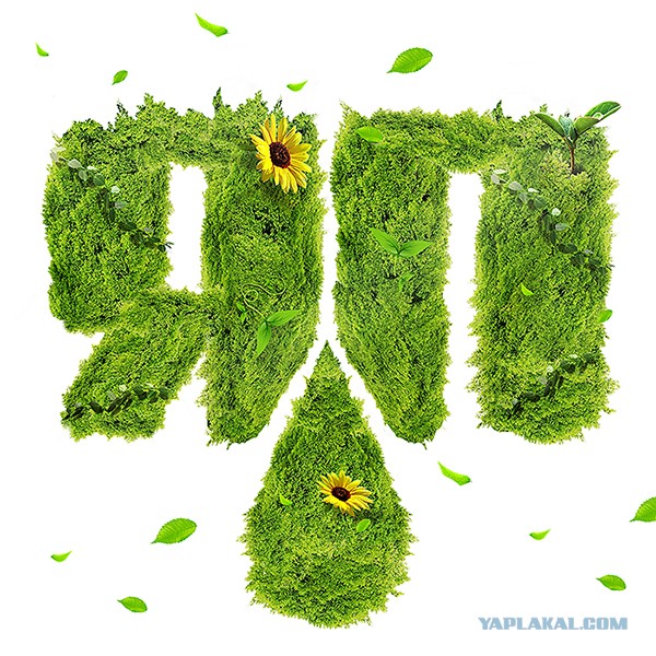 Быстро-вкусно: пирог на сметане с персиками