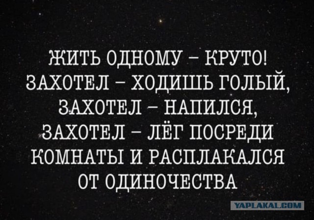 Алкопост 14.01.22