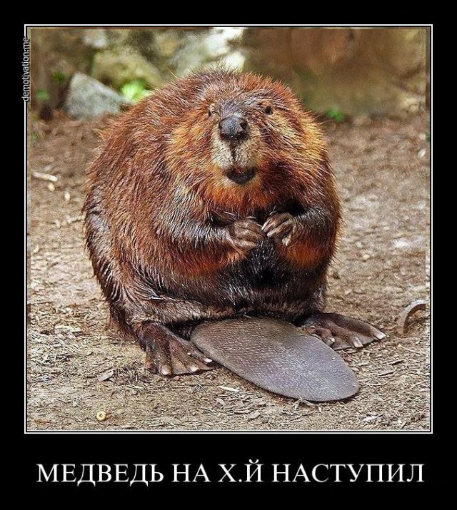 Пандемия. Коронавирус и съехавшие крыши. Россия и мир. Часть 35