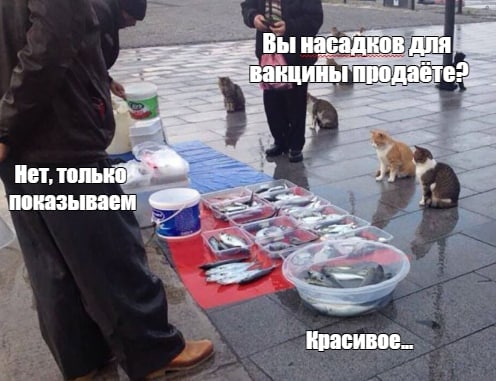 Пандемия съехавших крыш - разновидности болезни. Россия и мир. Часть 37