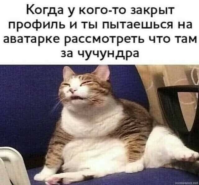 Юмор в картинках и без