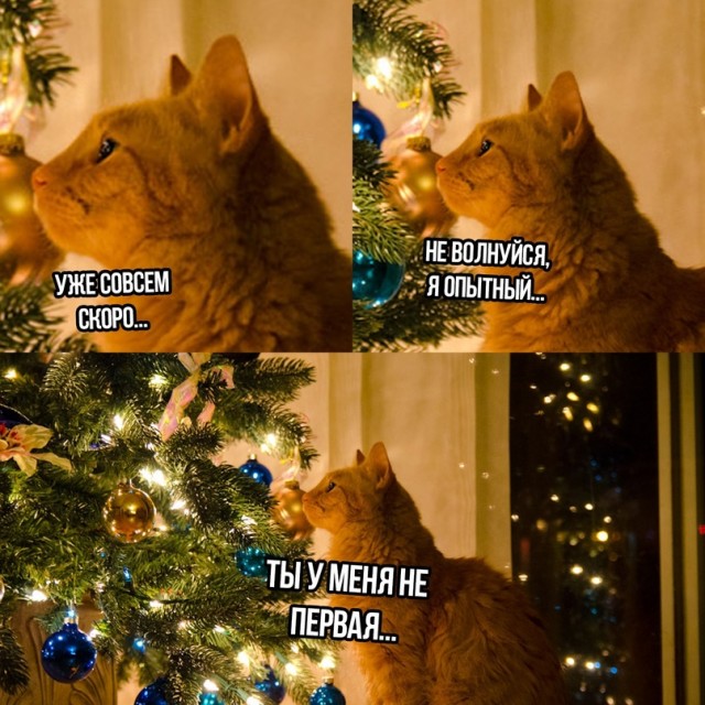Картинки и мемы. Выходные близко...