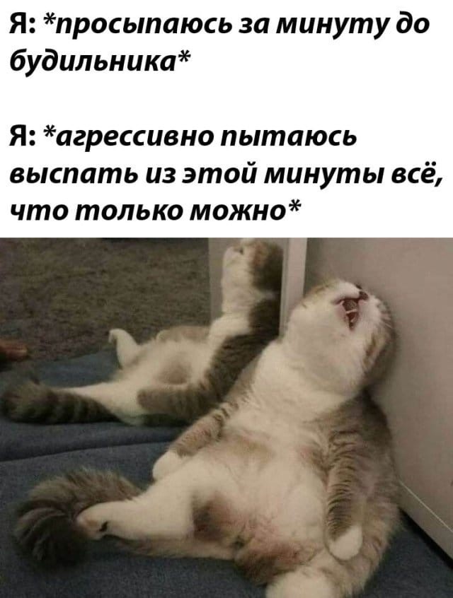 Немного картинок для настроения - 127
