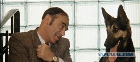 Пугачёву и Галкина ограбили в Израиле