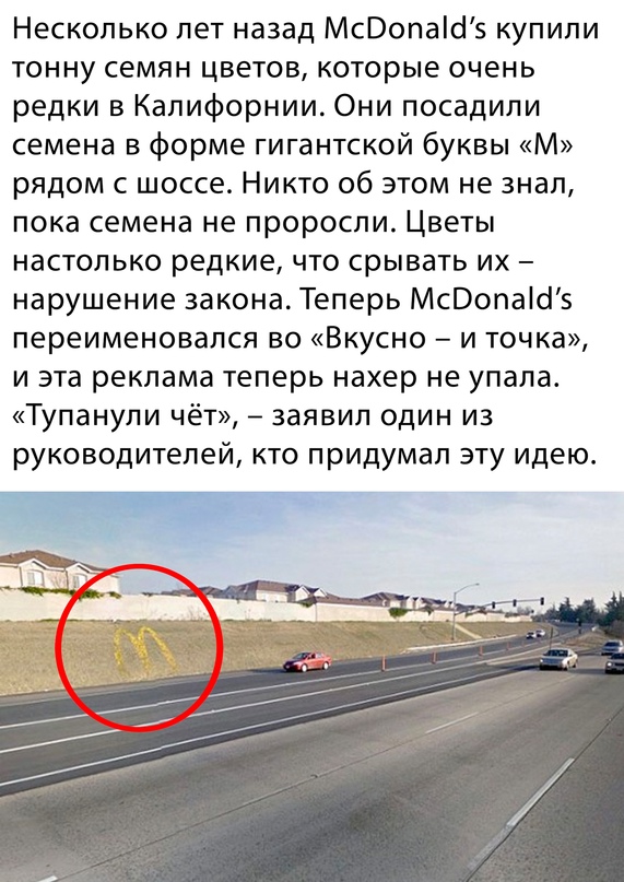 Весёлый полтишок 12.03.23