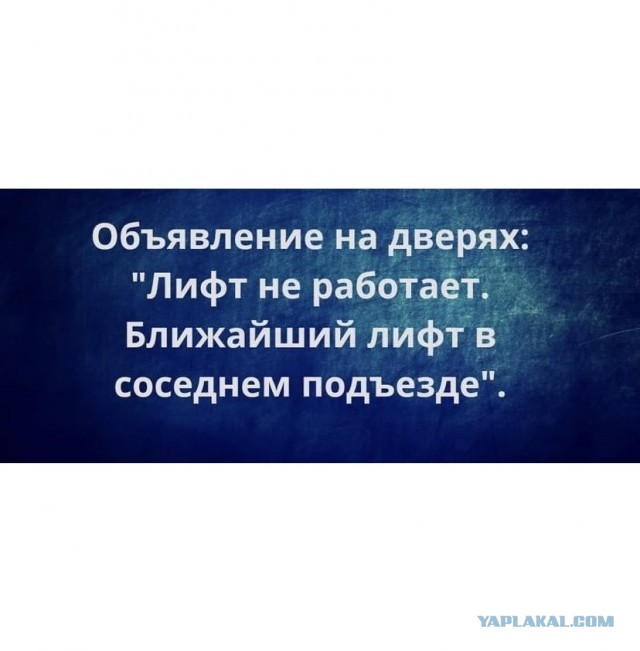 Картинки аморальные и всякие разные - 48