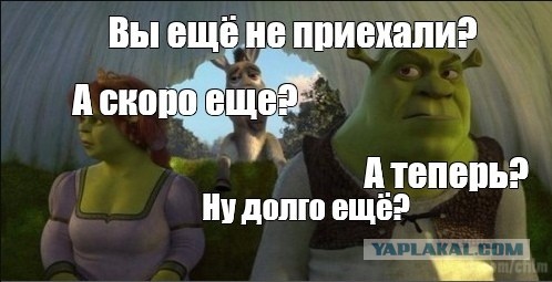 СлонотЯП итоги.