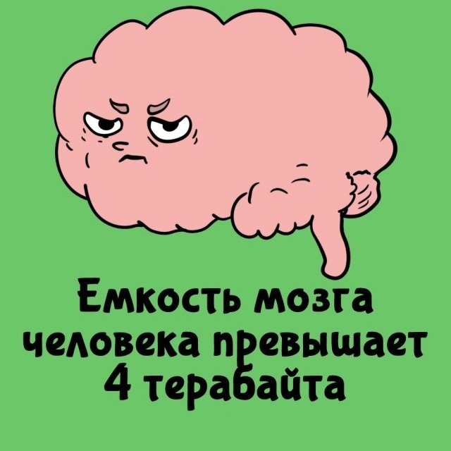 Подборка интересных фактов на все случаи жизни