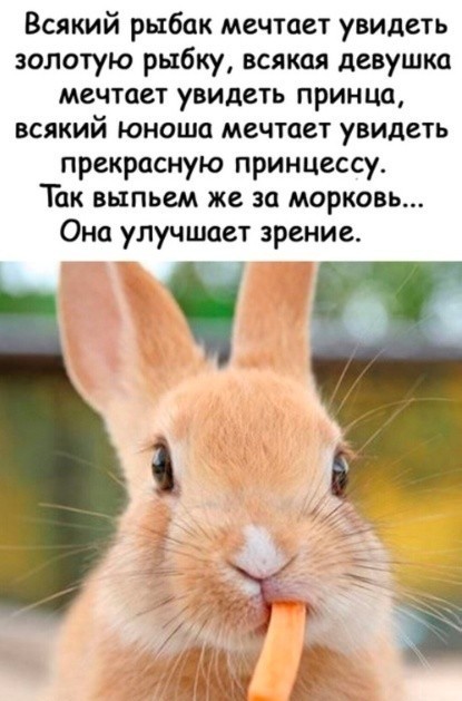 Так себе картинки 11.11.24