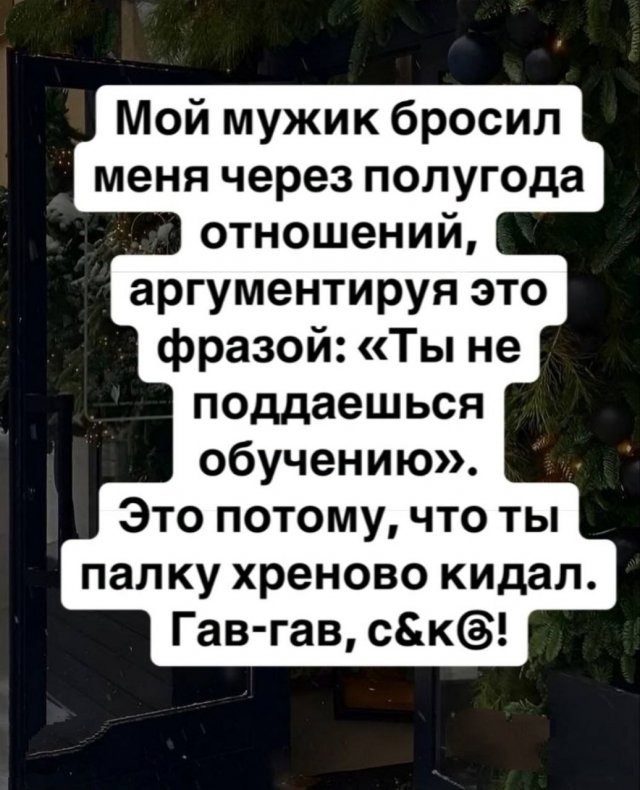 Так себе картинки 24.12.24