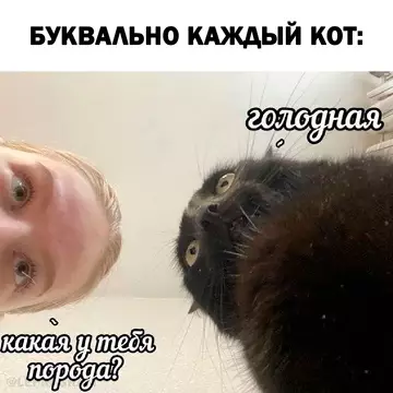 Картиночки, баянчики 13 марта