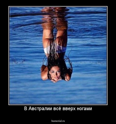 Мой брат - радиолюбитель, и это диагноз⁠