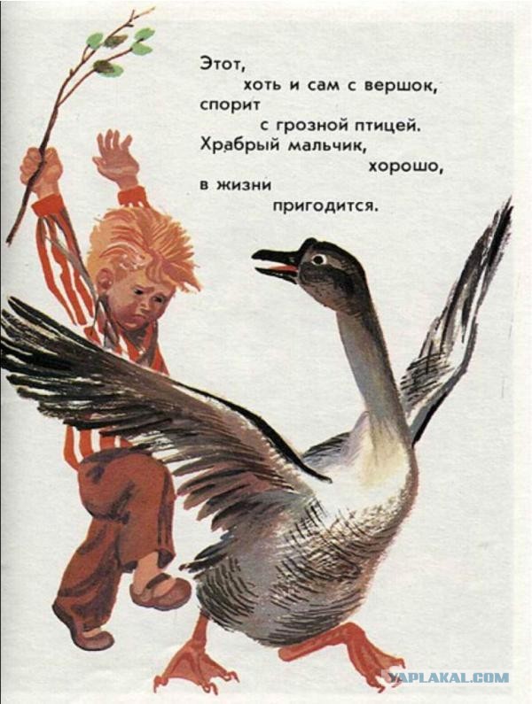 Ребёнок vs гусь