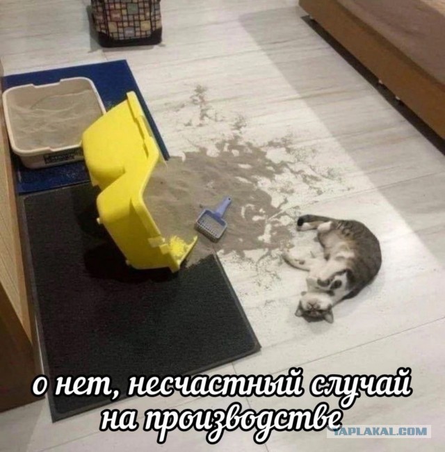 Пока не премия, но благодарственное письмо Дарвина