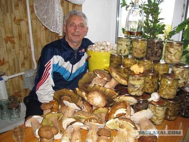 За грибами