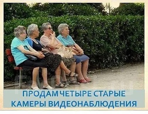Смотряги