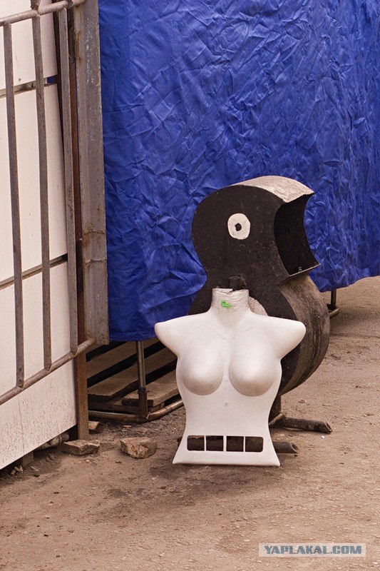 Креативная пёсомусорка