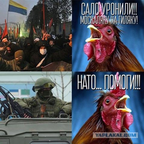 Яценюк прибежал жаловаться в НАТО