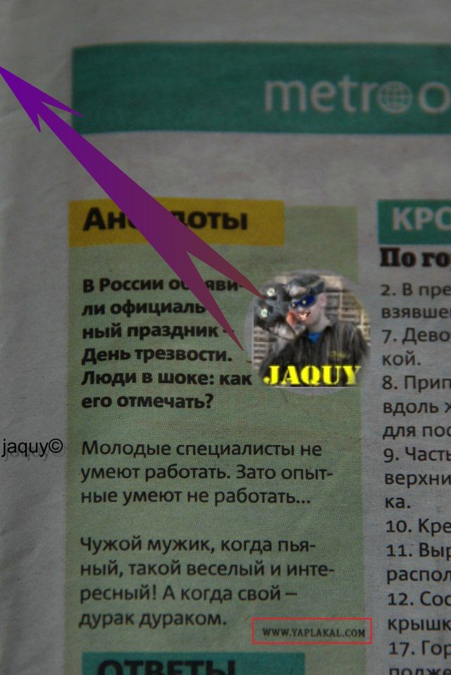 ЯП становится печатным.