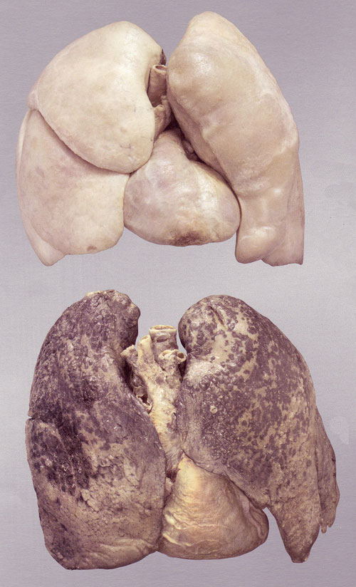 Курящим на заметку