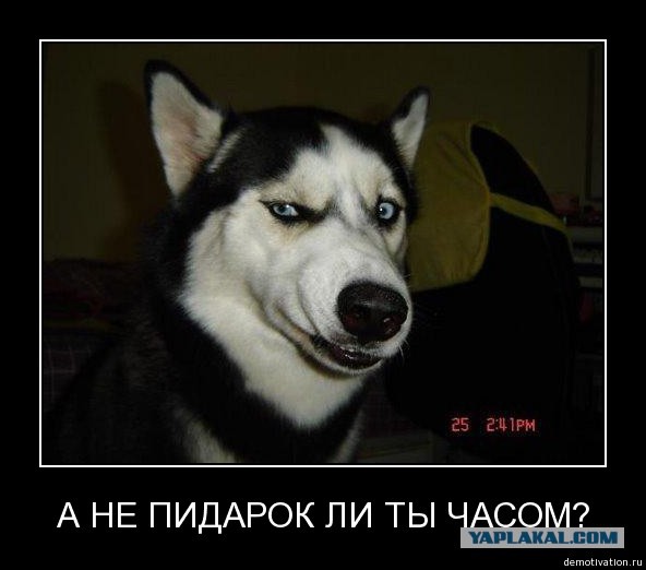 Житьё-бытьё молдавского крестьянина
