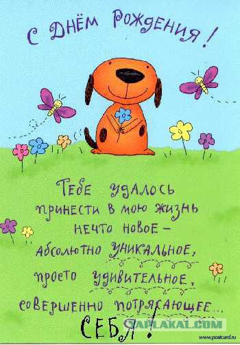 ЯП, С Днём Рождения !