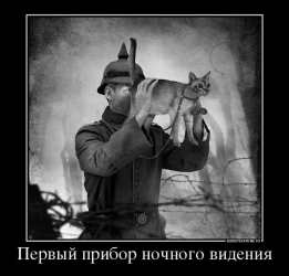 Умные ответы на глупые вопросы