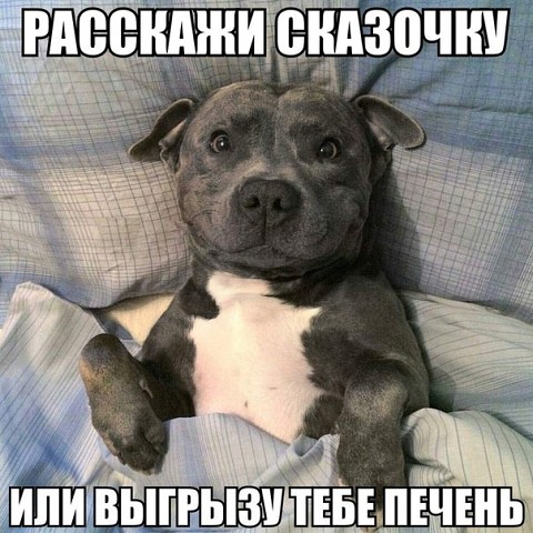 Четверг? тогда собакены
