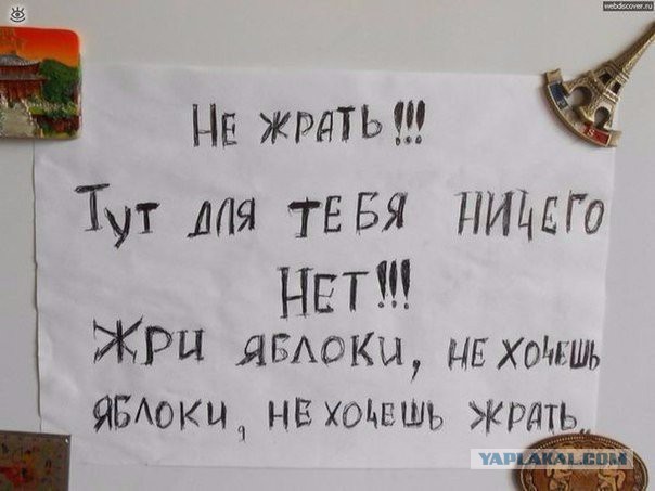 Приколы из сети