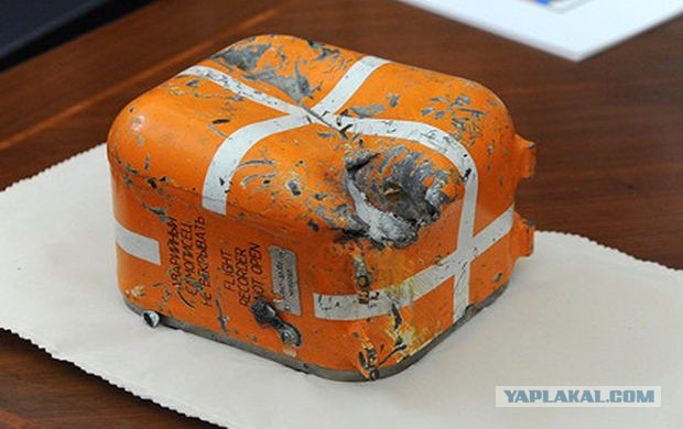 Боль и позор в прямом эфире