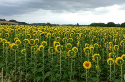 Интересные и веселые картинки