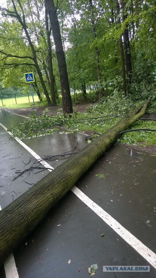 Сильная гроза в Москве и ее последствия